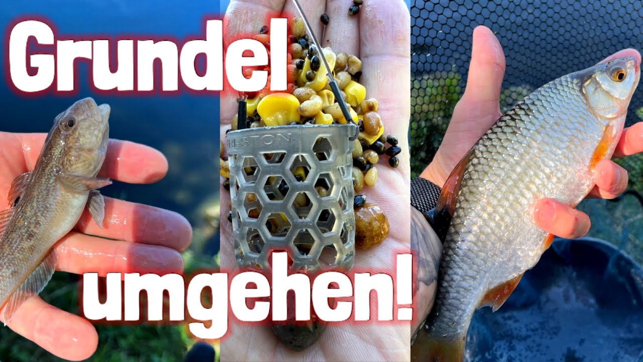 Angeln am Main ! Kann ich die Grundeln umgehen ???
