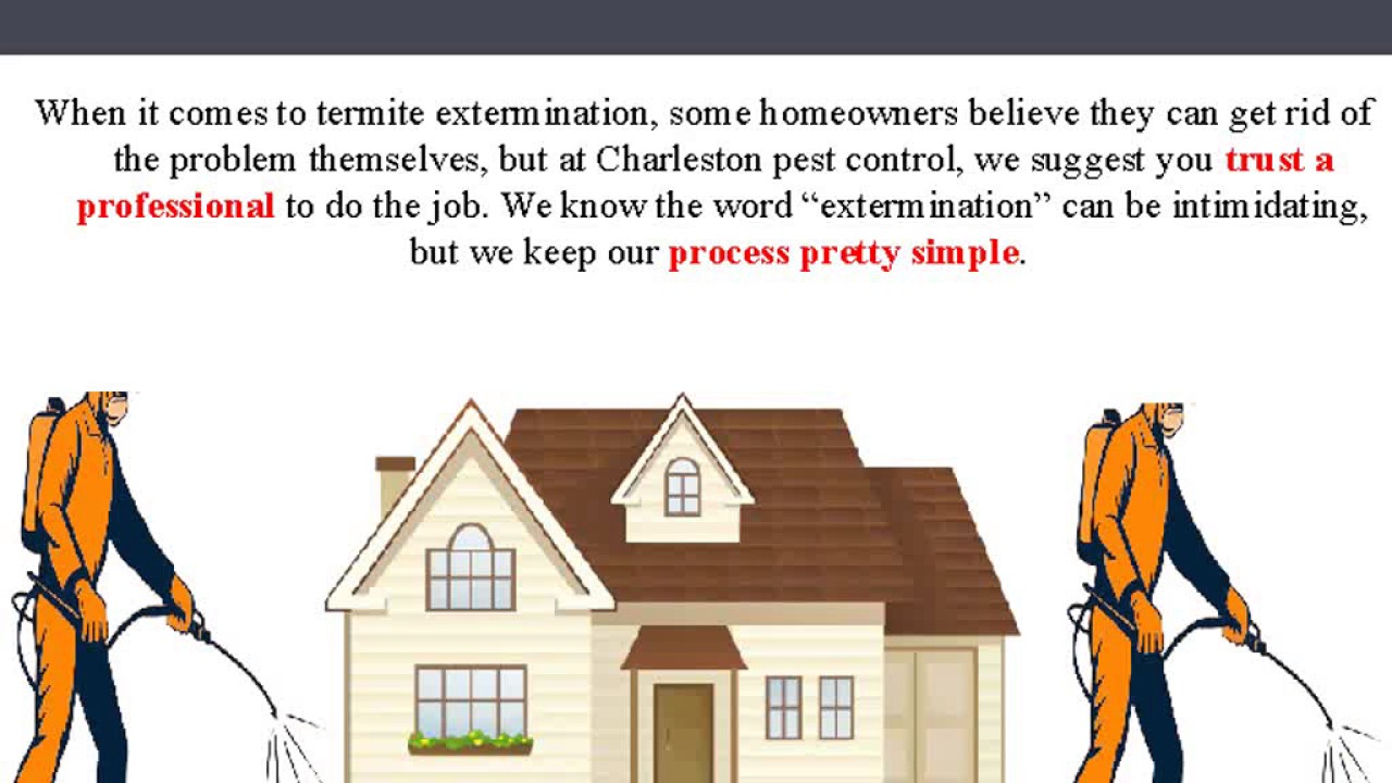 Advanced Termite and Pest Control- Charleston Pest Control