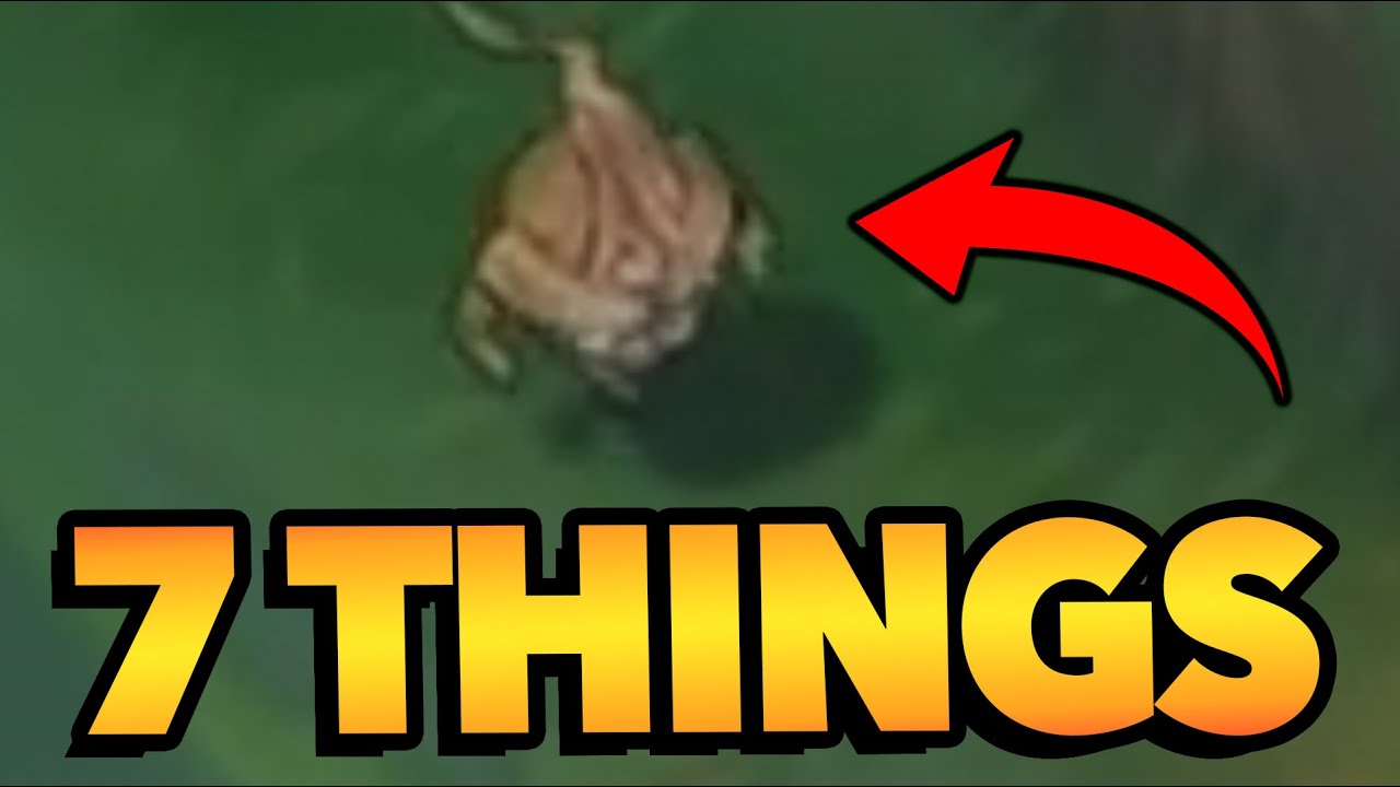 7 Things You Didn't Know About League of Legends