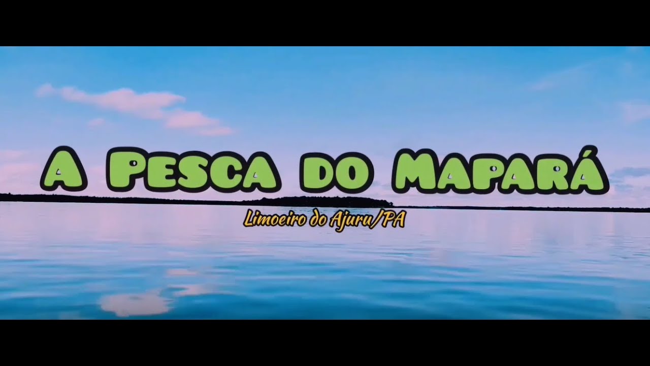 A Pesca do Mapará em Limoeiro do Ajuru, Estado do Pará - Um Documentário incrível!!!
