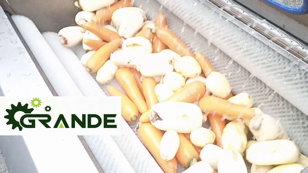 Carrot Washing Machine / Radish Washing Machine