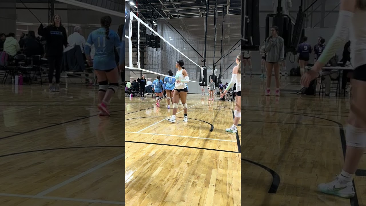 Net View Carolina Classic NLVA 15 Gold vs APVA set 2