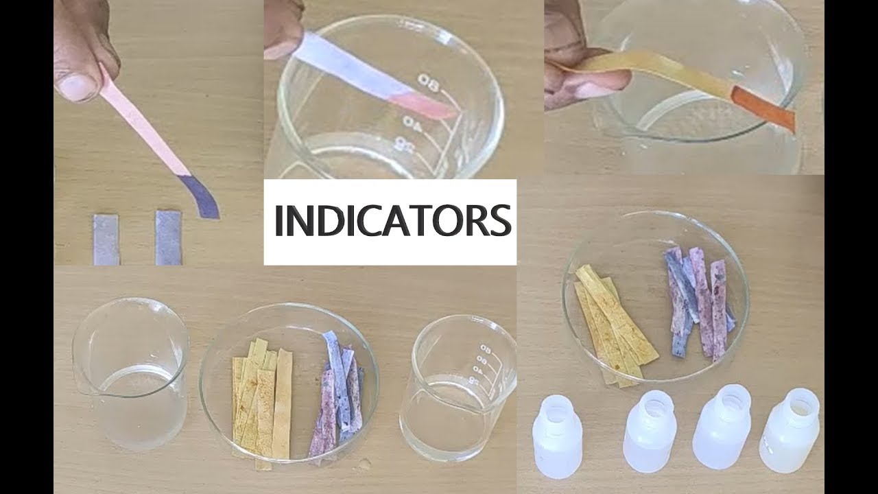 Science Experiment | How to make Natural Indicators | home made indicators
