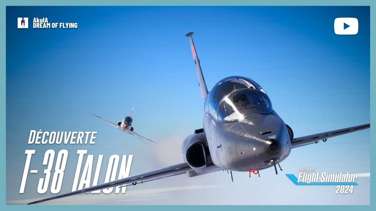 FAMOUS FLYER 13 | T-38 A TALON | BLACKBIRD | FS 2024