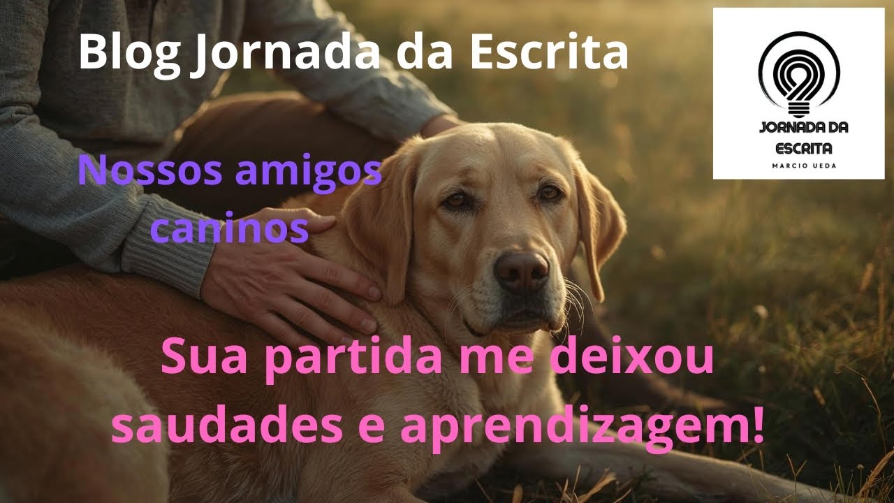 AMIZADE CANINA: Nossos amigos caninos