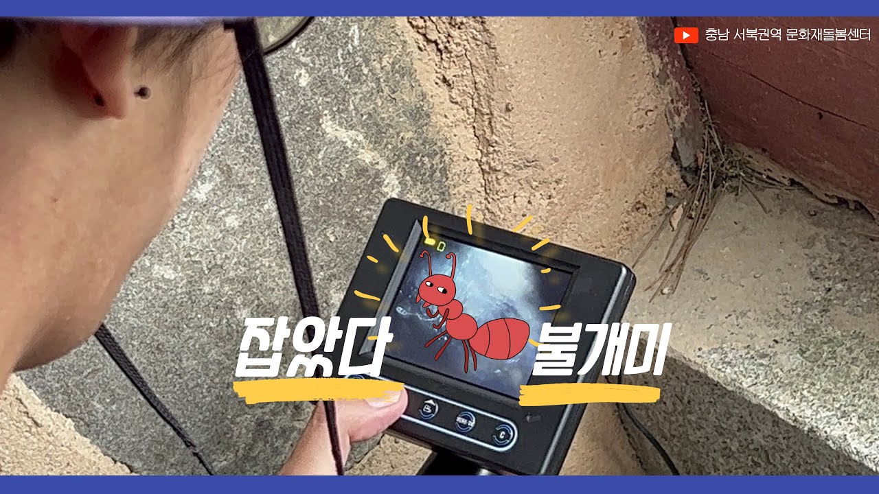 보령 수현사에 불개미가 출현 했다고? 당장 모니터링 출발 하시죠!_충남서북권역 문화재돌봄센터