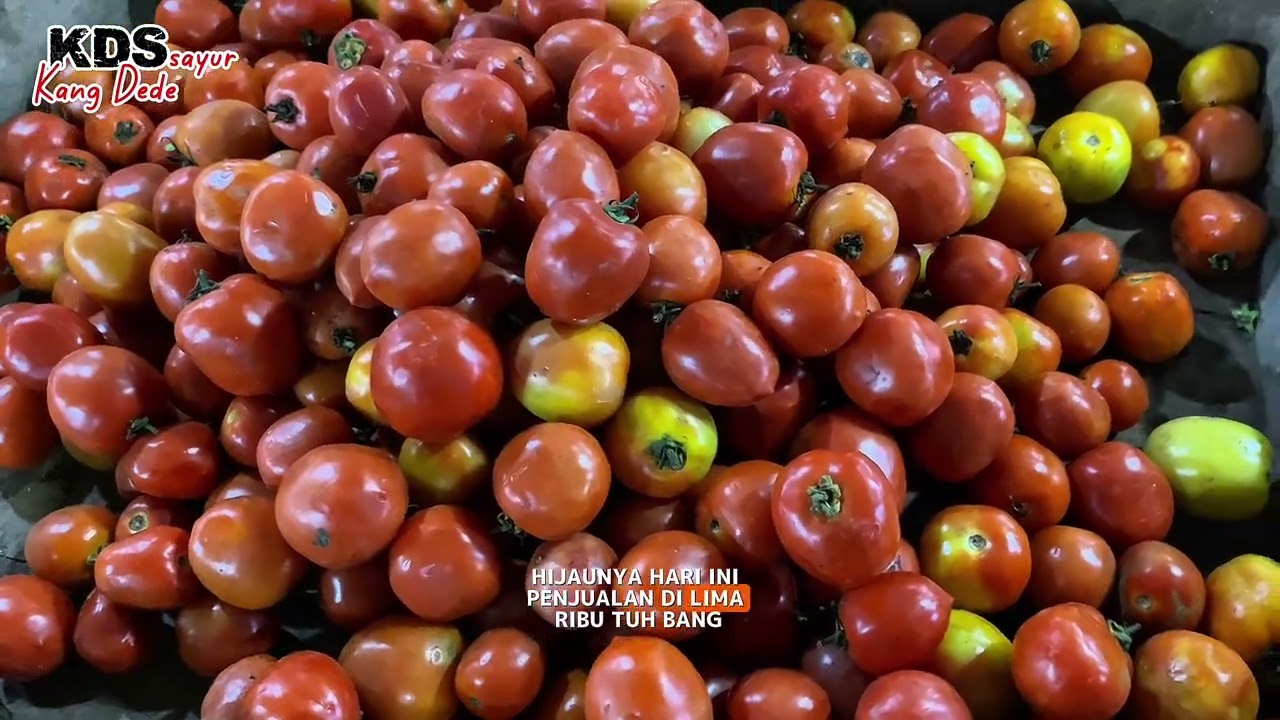 Rawit Merah ada kenaikan Sayuran Masih MAHAL #cabe #sayuran #pasar #vegetables #rawitmerah