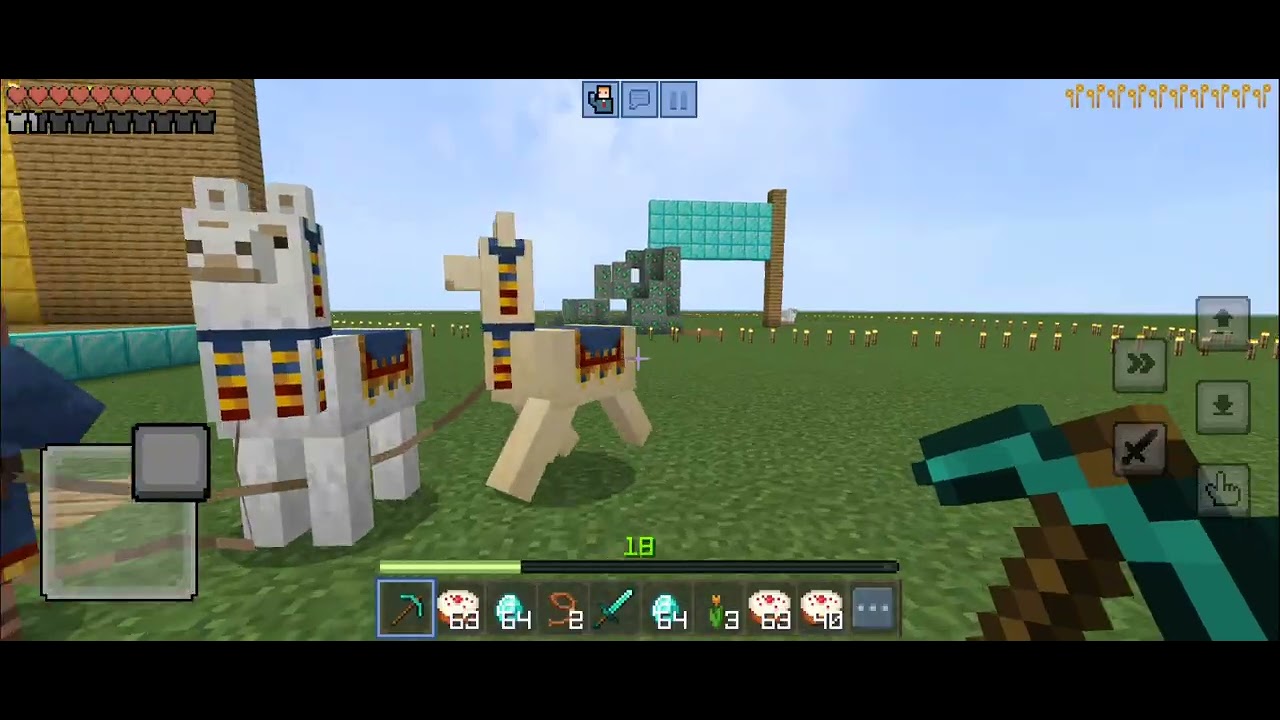 Un dia rarro en Minecraft 