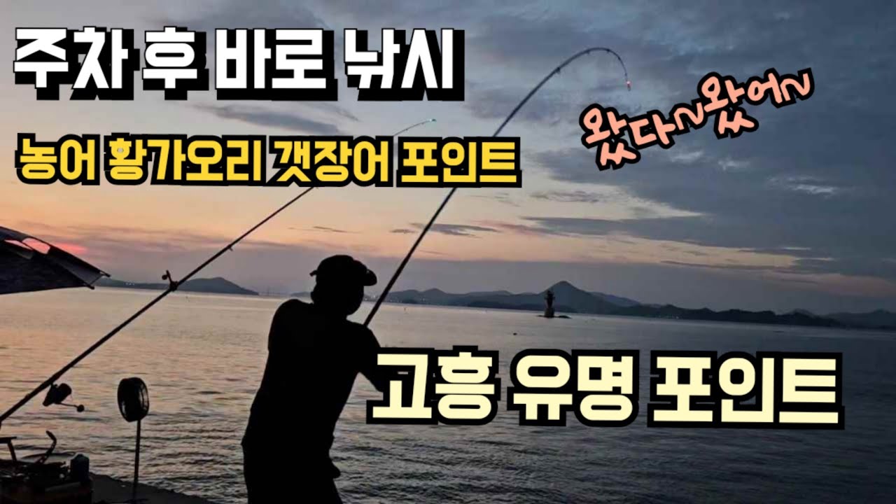 원투낚시 고흥 핫한 포인트 