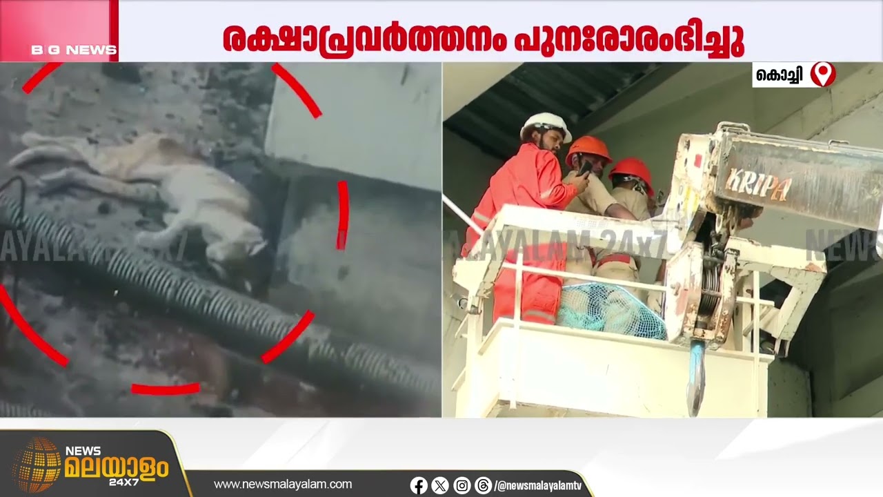അഞ്ച് ദിവസമായി പില്ലറിൽ തന്നെ; 'മിഷൻ സുഭാഷ്' പുനരാരംഭിച്ചു | Kochi
