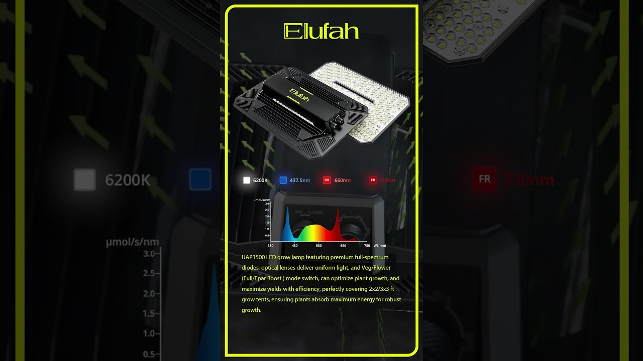 Perfect for home growers! Elufah