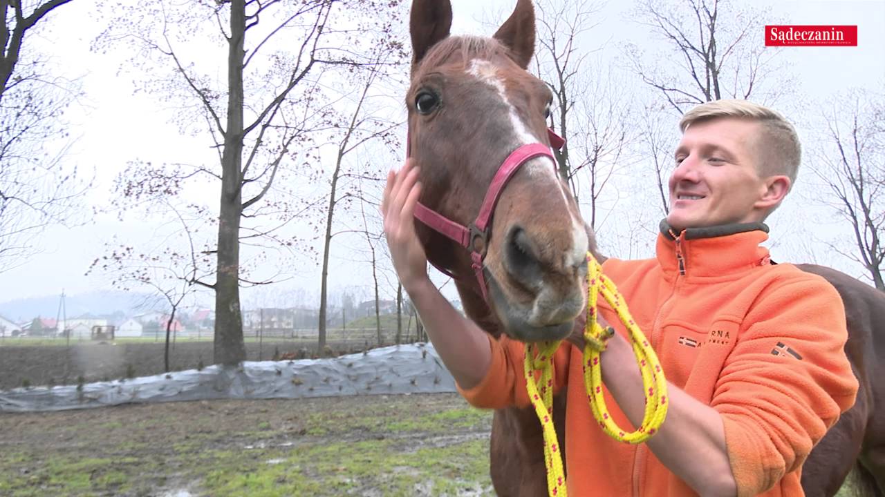 Konia za darmo dają – kto dobry weźmie?