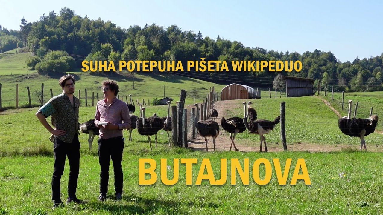 Obiskala sva raj za noje: Butajnova