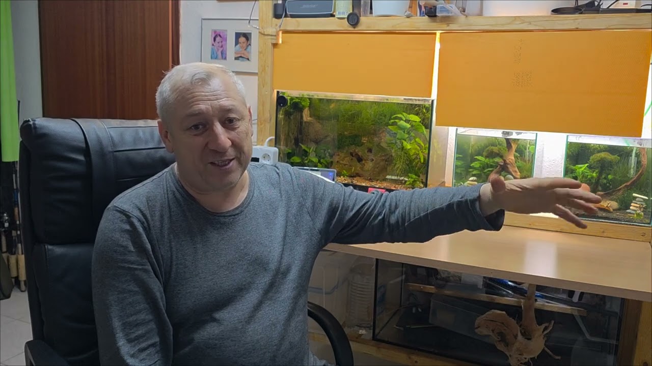 Аквариум креветок рассодил есть потомством а это что такое