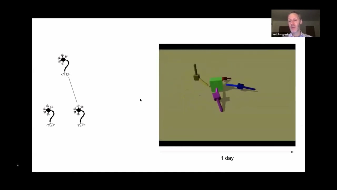 Evolutionary robotics and its application to xenobots in 20 minutes.