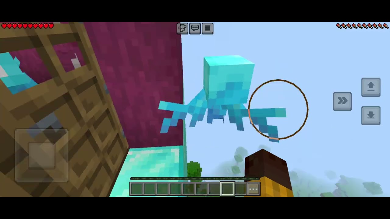 Ayla jogando Minecraft. 