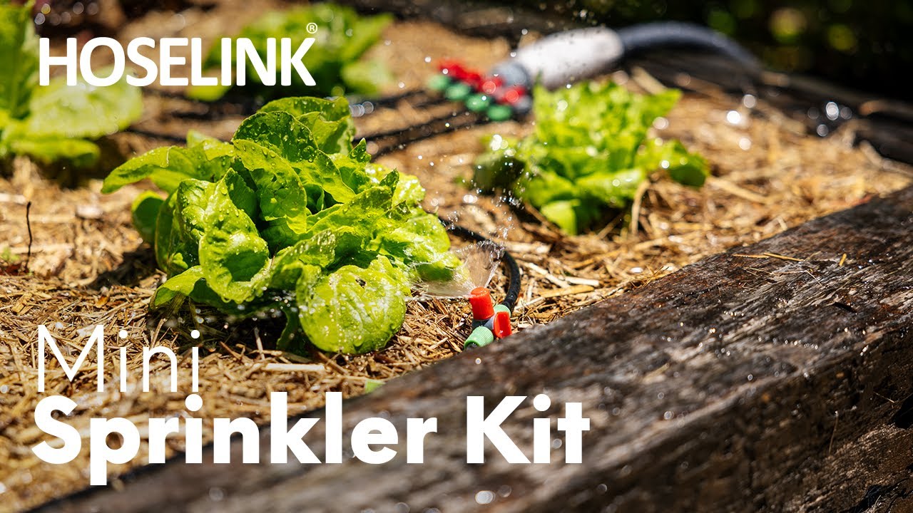 Hoselink Mini Sprinkler Kit - Australia