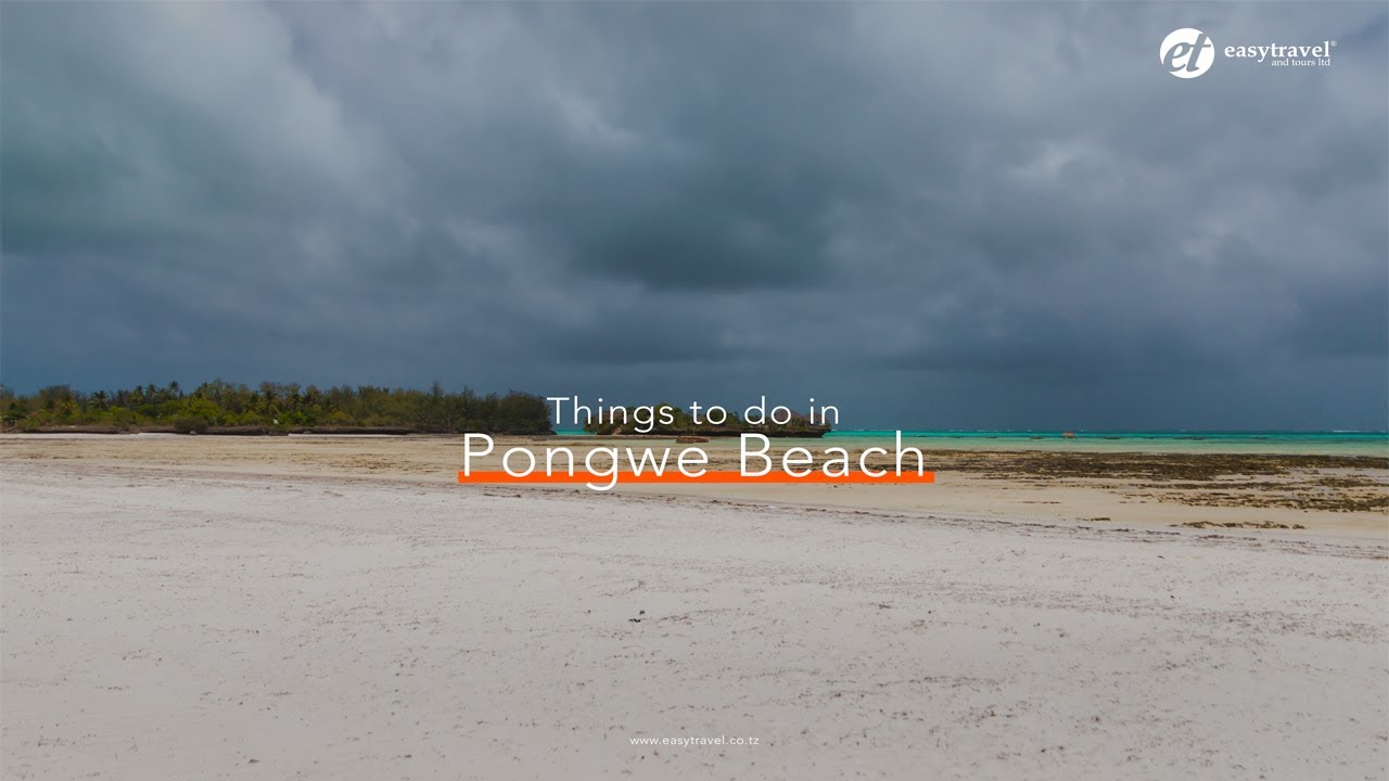 Things to do in Pongwe Beach. #unforgettable #tanzania #beach #zanzibar #africa