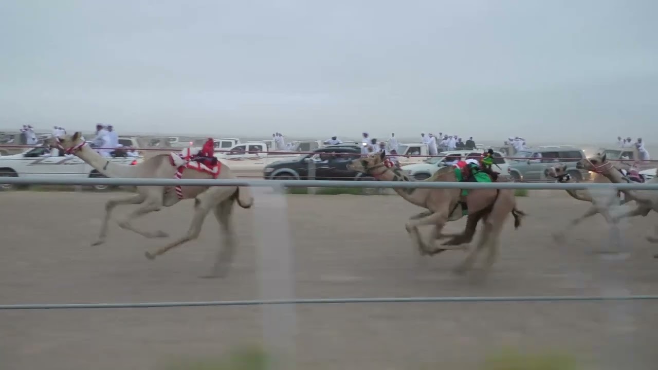 الشوط 1…(الفاتنه)لـ سالم بن خميس بن مسلم الزرعي 2:08 *افضل توقيت*