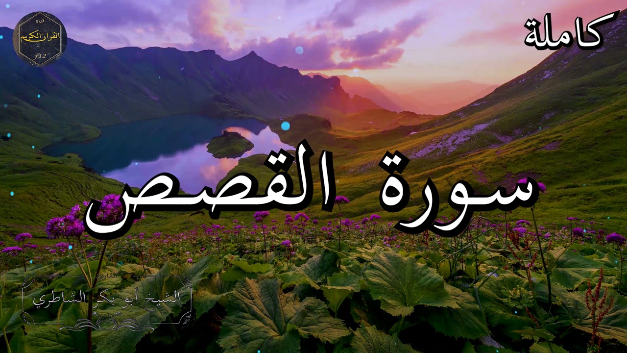 سورة القصص كاملة بصوت جميل جدا الشيخ أبو بكر الشاطري 🌹