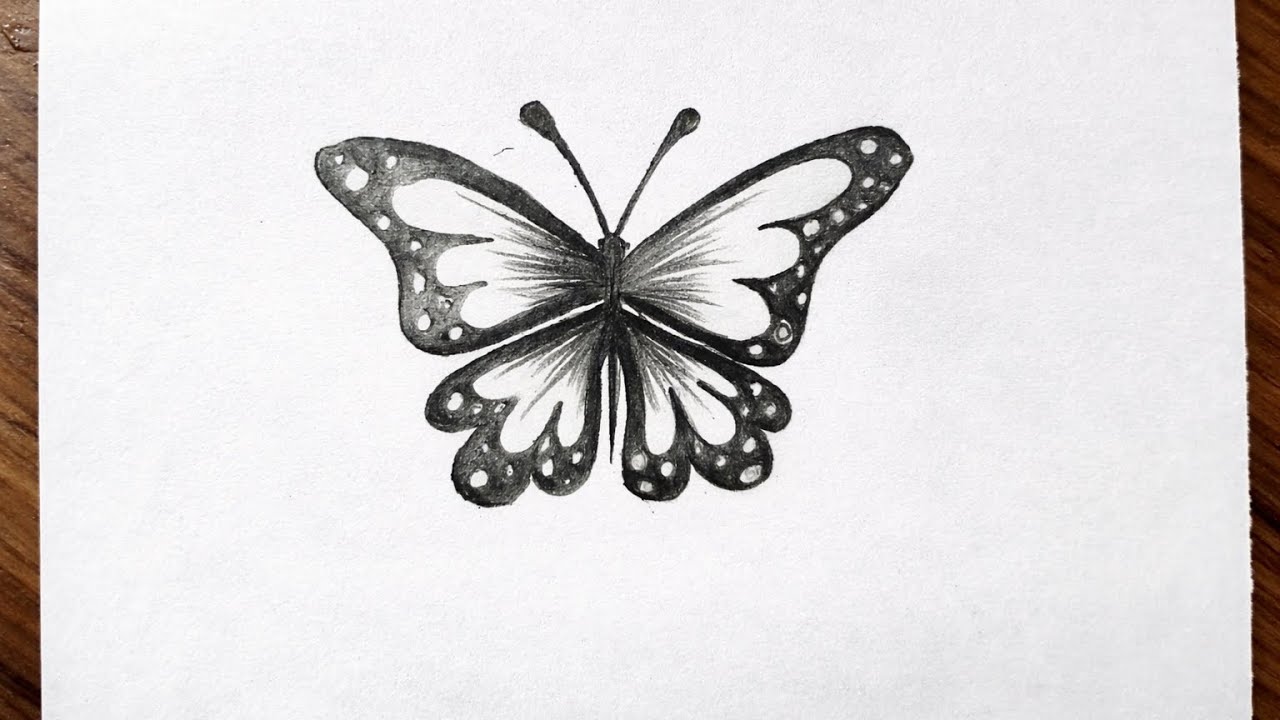 How to draw  beautiful  Butterfly  | Easy Pencil Sketch Art / Drawing  Tutorial 