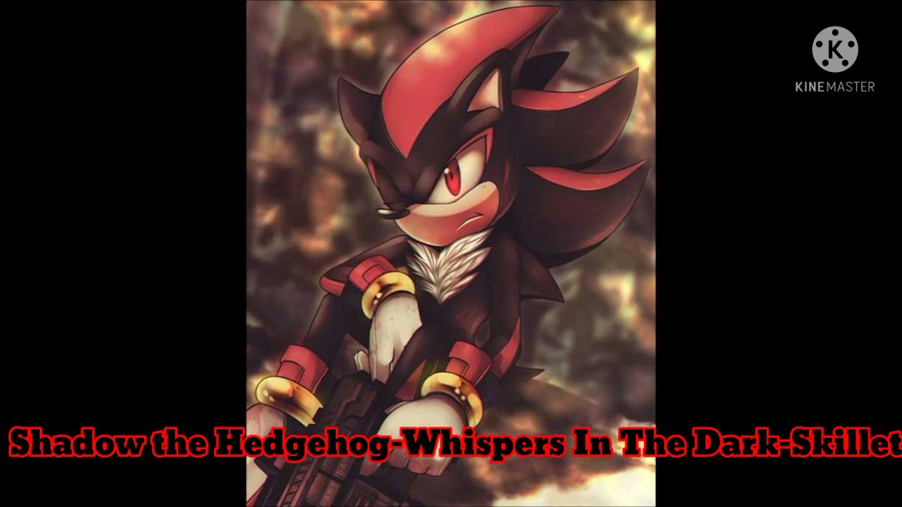 My Favorite characters theme songs (100 Sub Special)