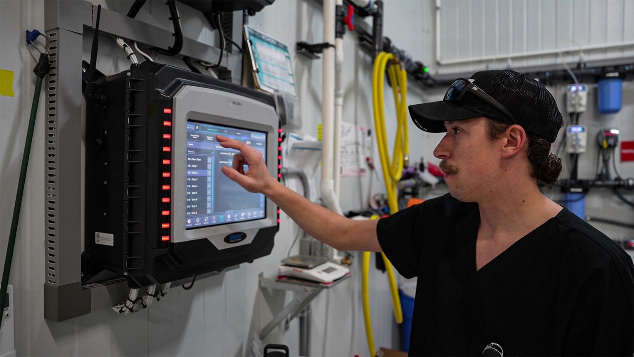 How Peninsula Gardens Scaled Irrigation with Dilution Solutions Controller