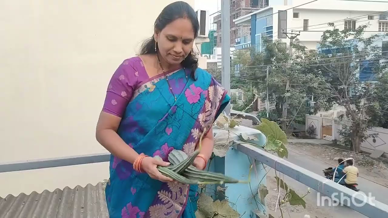 ఈ రోజు కేజి బీరకాయలు కోసాము 