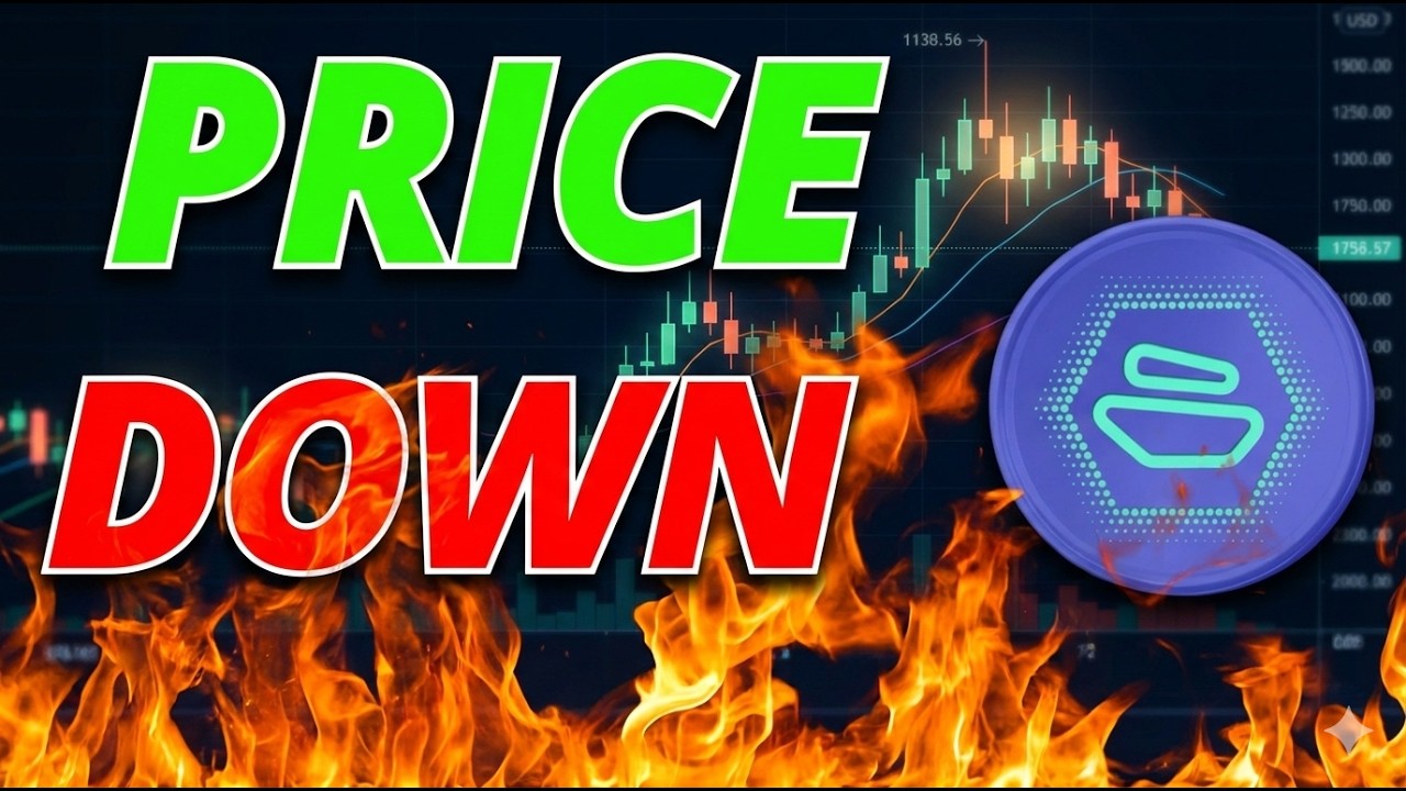 Zebec Price Down&hellip; But $65,000,000 Is Moving Every Month.-ZBCN COIN NEWS