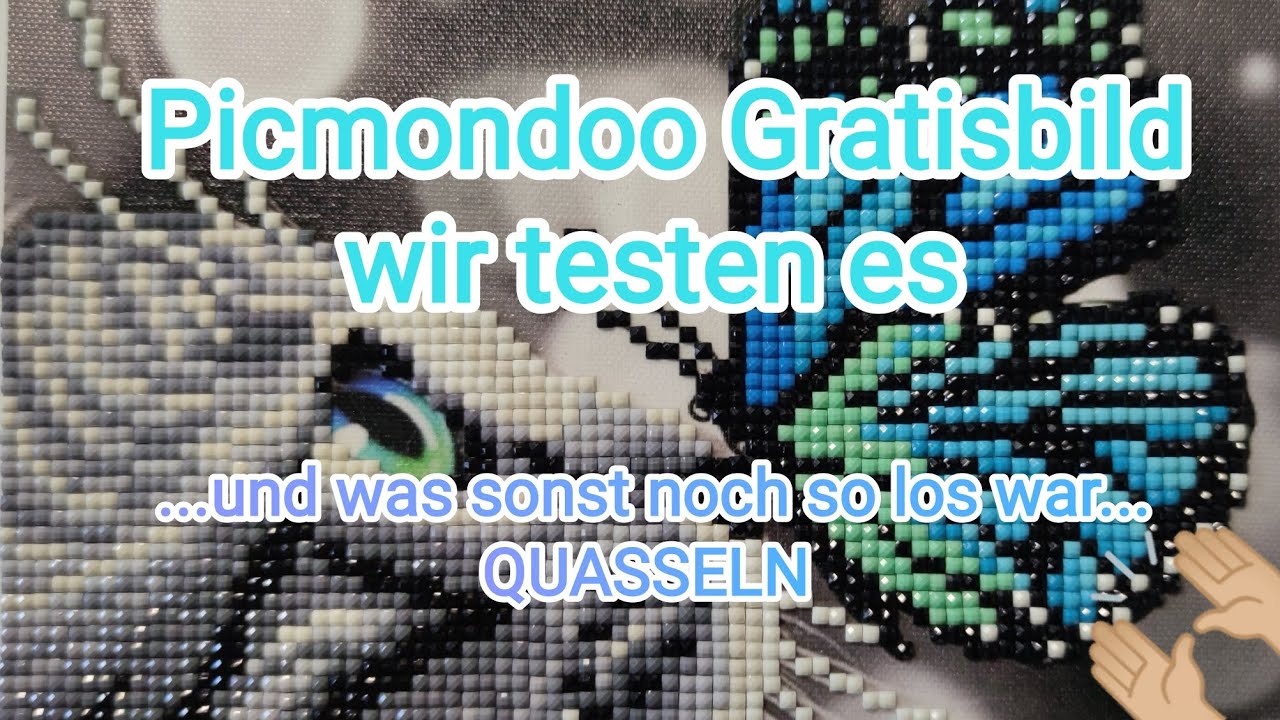 Picmondoo Gratisbild ⭐ wir testen es 🐱 Teil 2