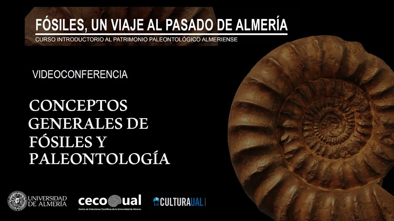 CURSO PALEO CONCEPTOS GENERALES    SD 480p