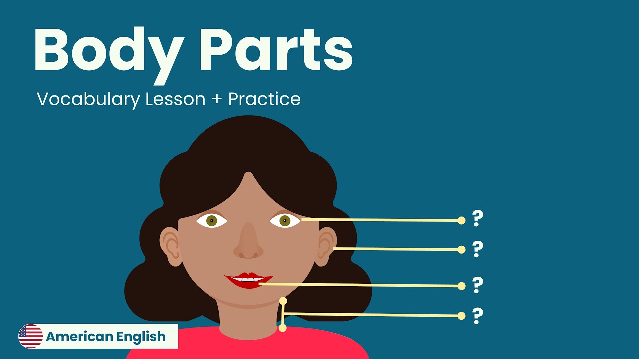 Body Parts + Practice | American English for Adult Beginners