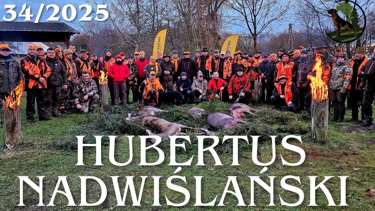 XII Hubertus. Las Zagrał Jak Filharmonia. Polowanie zbiorowe. CZARNE DUCHY ZNAD WISŁY 34/2025