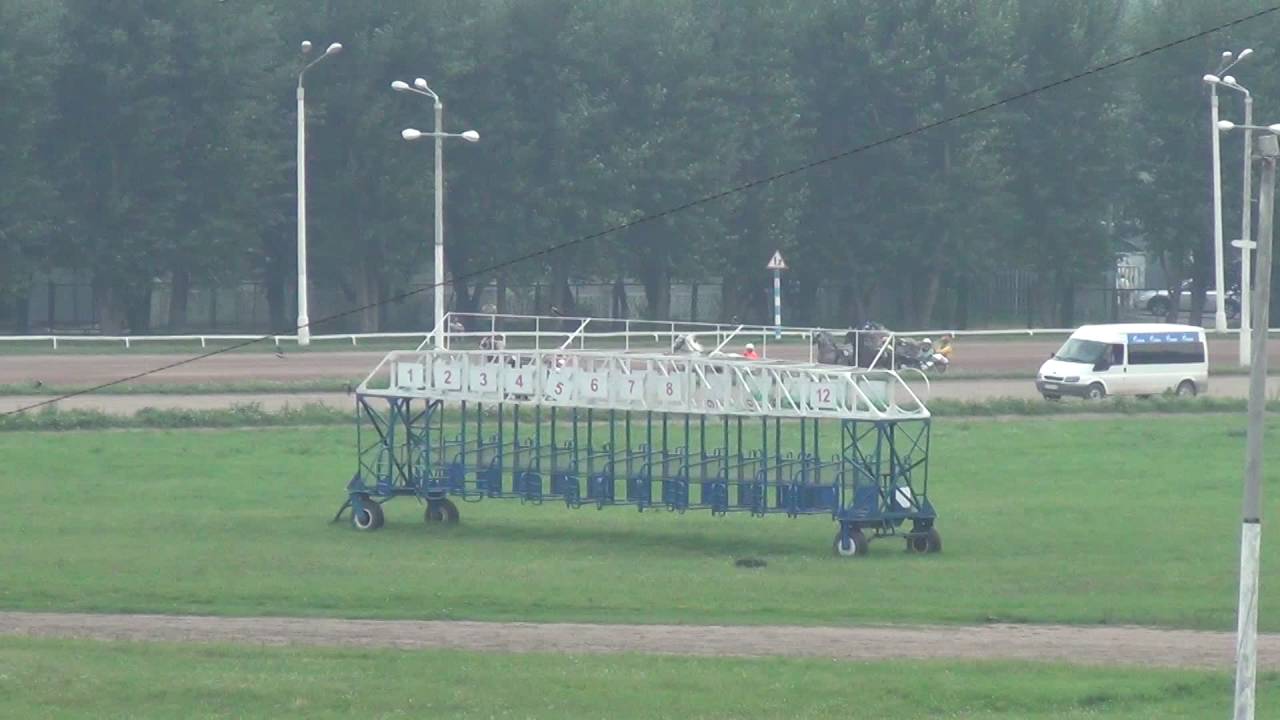 Московский ипподром. Бега. 24.07.16. Заезд 7(445)