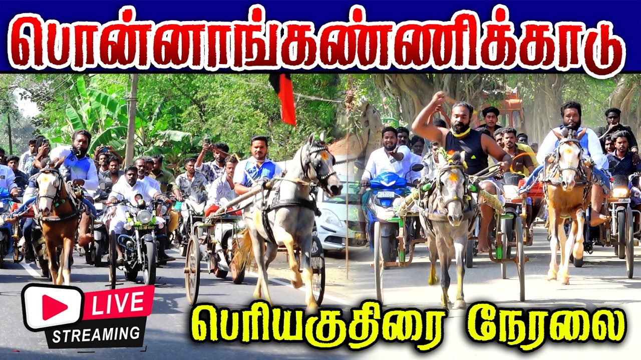 🛑LIVE பொன்னாங்கண்ணிக்காடு பெரியகுதிரை நேரலை பந்தயம்