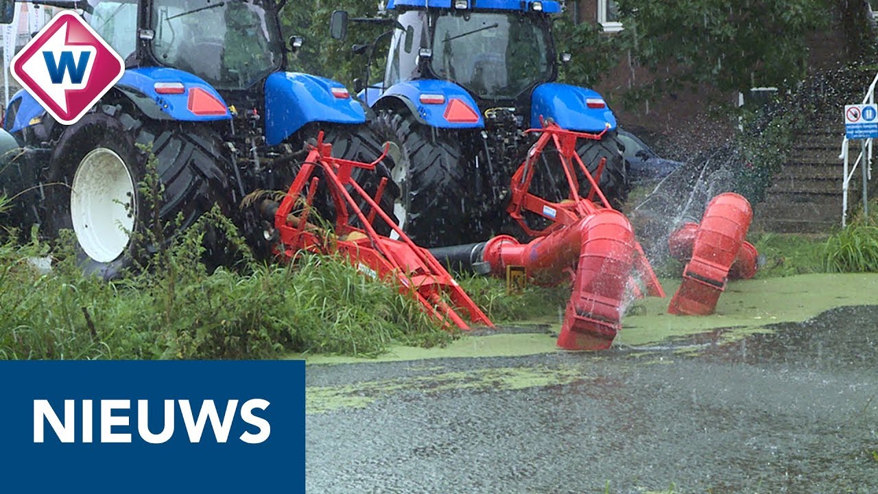 Tapijten en planten drijven in Boskoop - OMROEP WEST