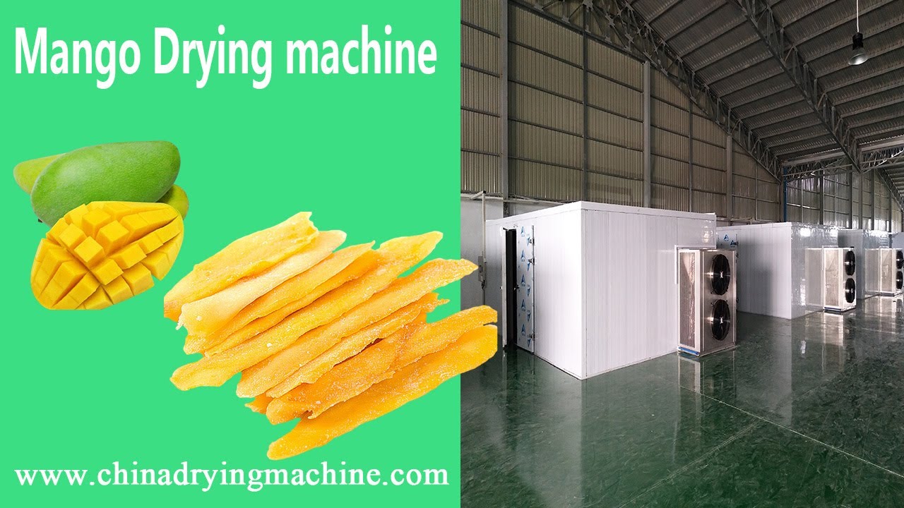 1000KG Mango Drying Solutions-Commercial Fruit dryer machine