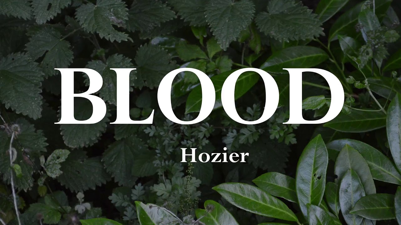 Hozier - Blood [Lyrics]