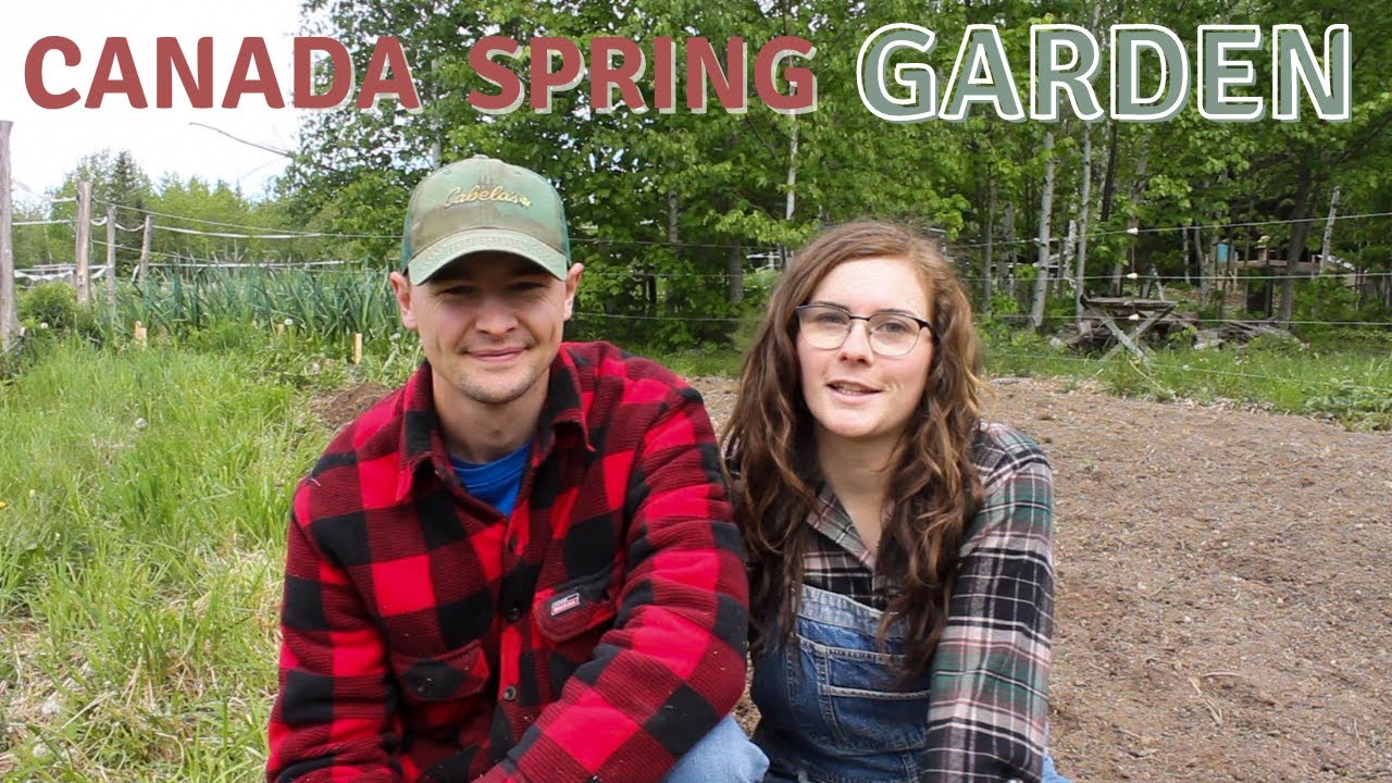 Spring Vegetable & Fruit Planting | Gardening in Canada