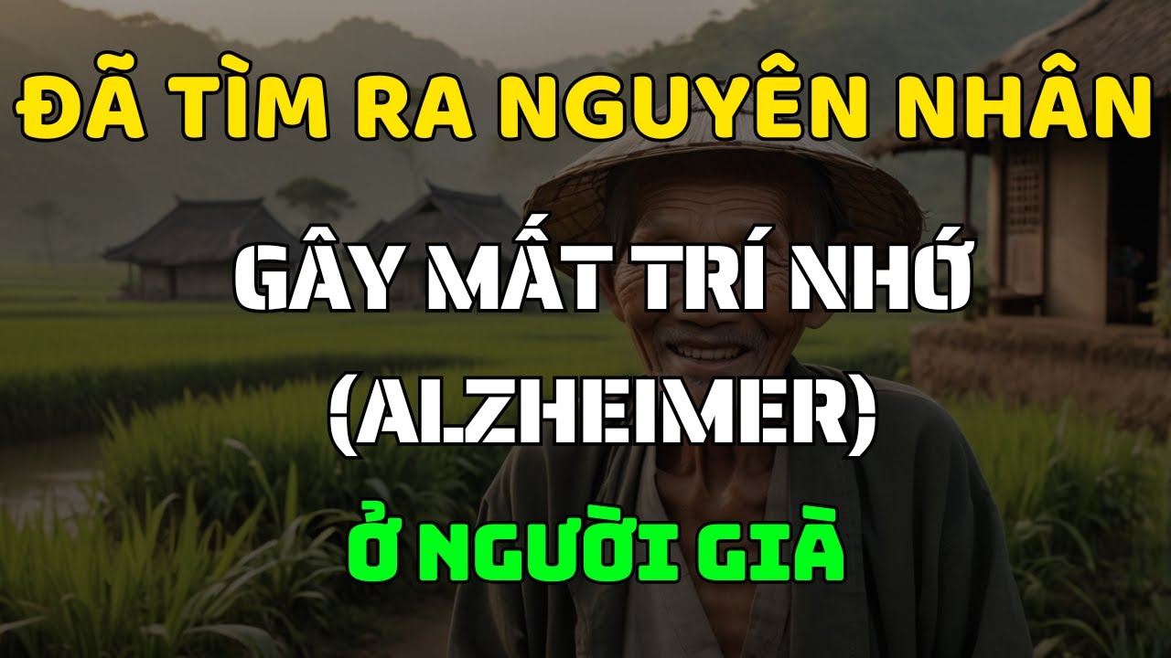 5 Thói Quen Hàng Ngày Gây Alzheimer Ở Người Già, Hãy Thay Đổi Ngay Hôm Nay!