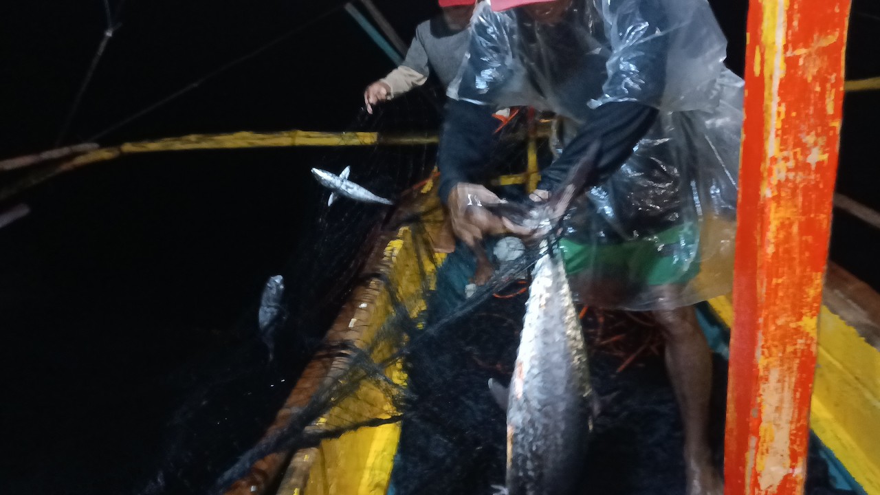 May mga isda parin ang aming spot