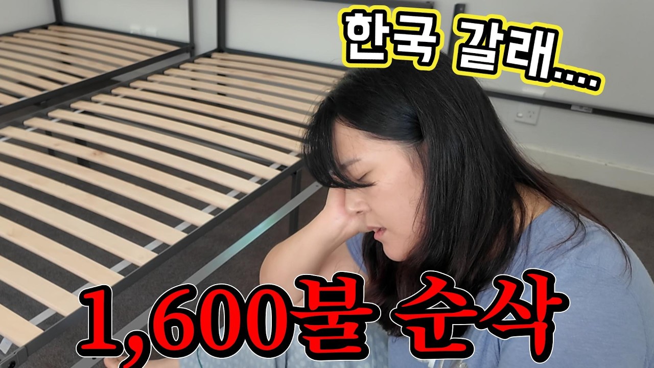 2주간의 지옥… 결국 $1,600 날린 뉴질랜드 이민 현실ㅣ7년 차도 피할 수 없었습니다