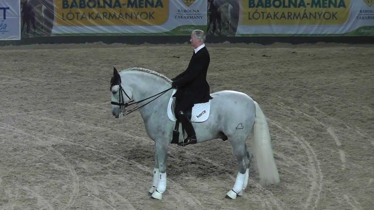 OTP Lovas Világkupa 2011 - Dallos Gyula