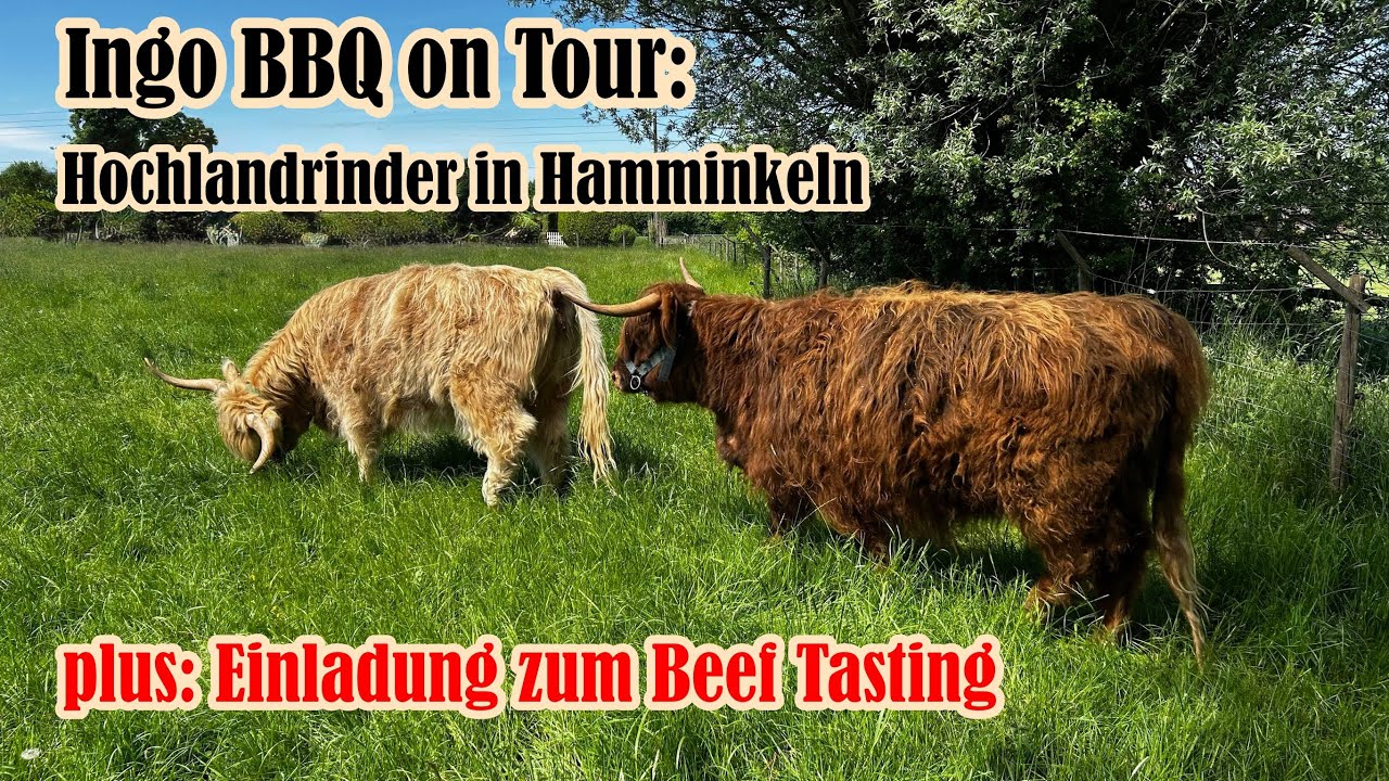 On Tour bei den Hochlandrindern auf Hof Spengler | Ingo BBQ by Ingo Weber Folge 141