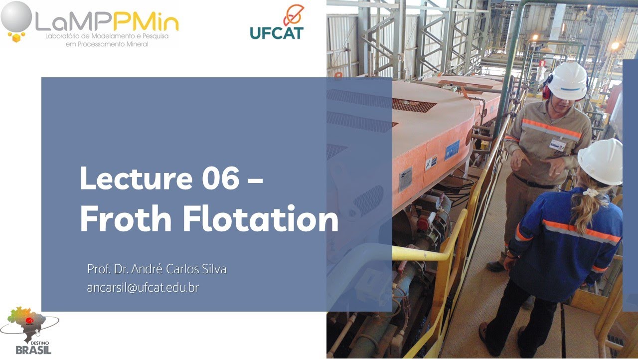 Mineral Processing in Brazil: Currently advances and challenges: Lecture 06 Froth Flotation