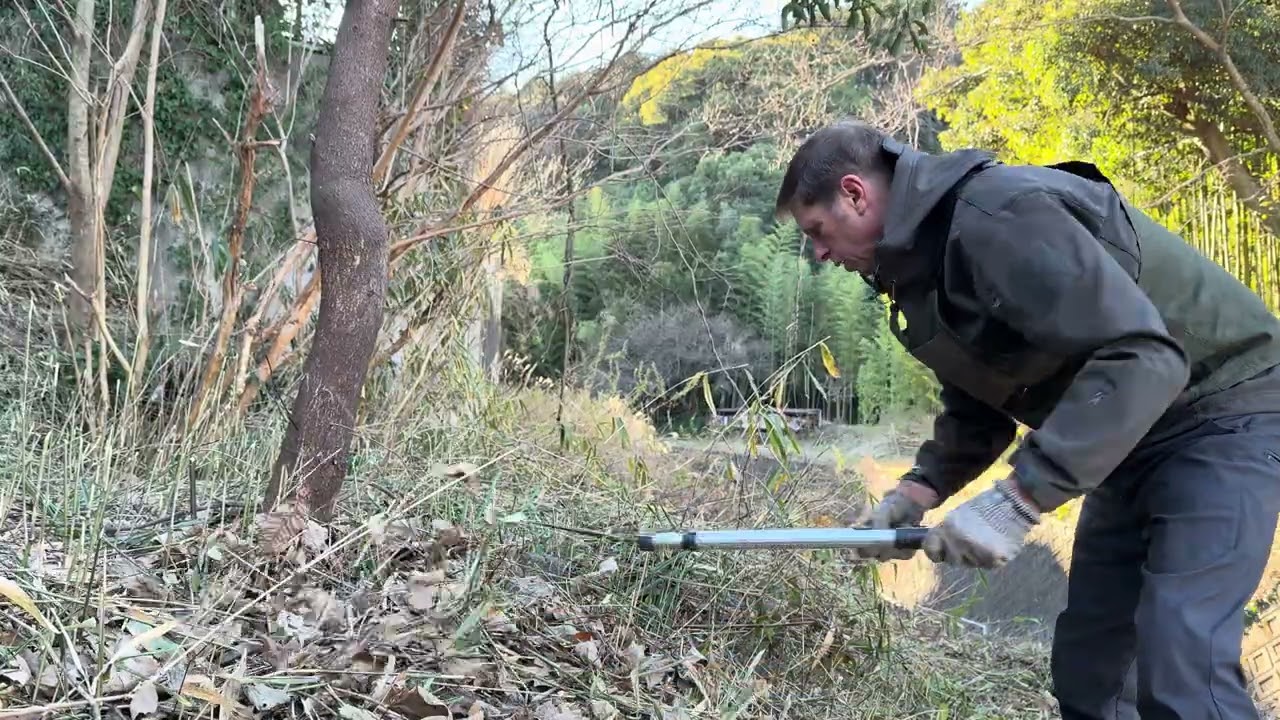 🪴 Garden Work in Japan: Clearing Sasa Bamboo Along the Yoshida River – Japan Garden