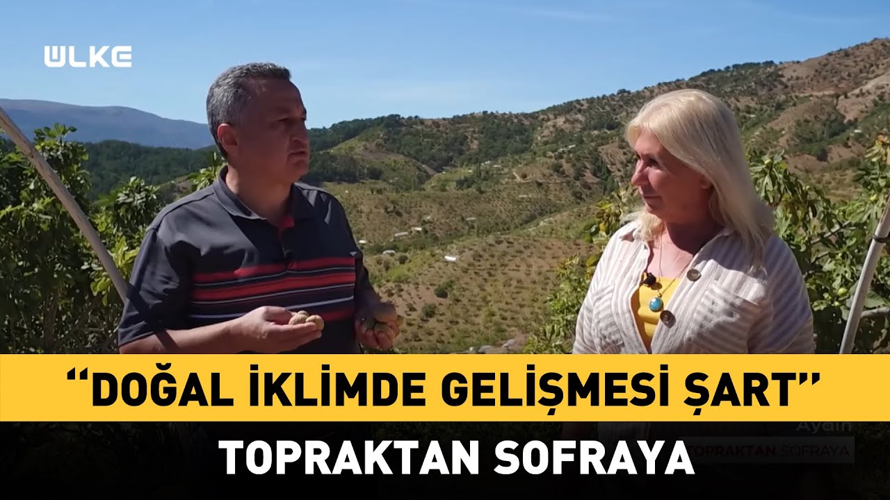 En Kaliteli İncir Nerede Yetişir? I Topraktan Sofraya