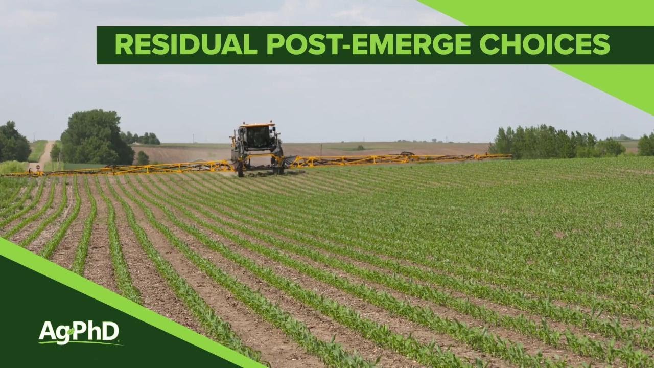 Post-Emerge Residuals In Corn And Soybeans (From Ag PhD Show #1090 - Air Date 2-24-19)