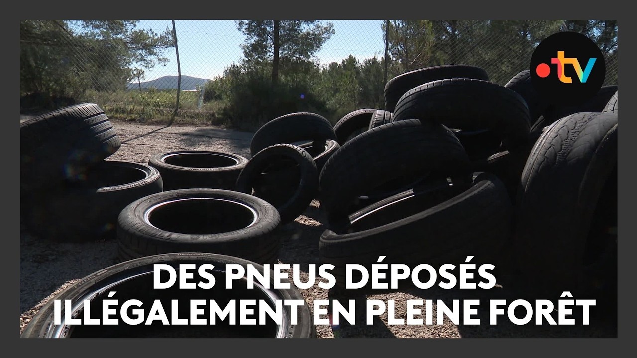 Des pneus déposés illégalement en pleine forêt à La Ciotat, les riverains n'en peuvent plus