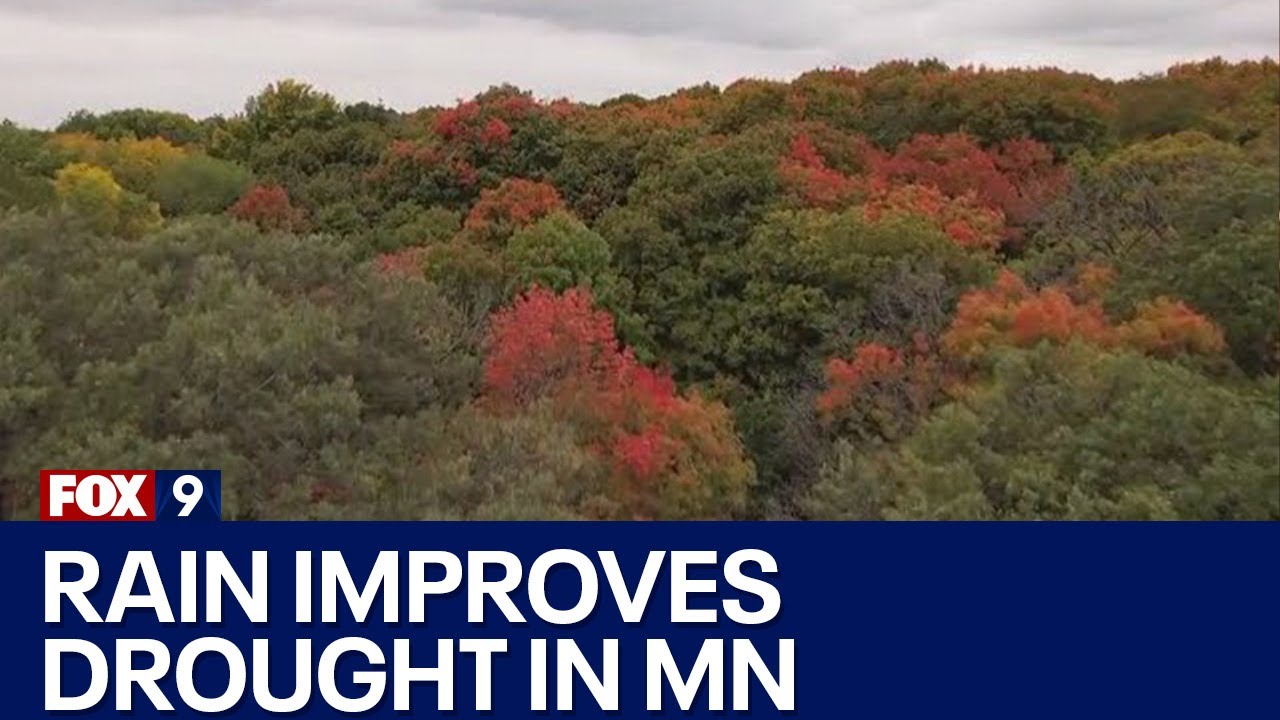 Rain improves drought in MN